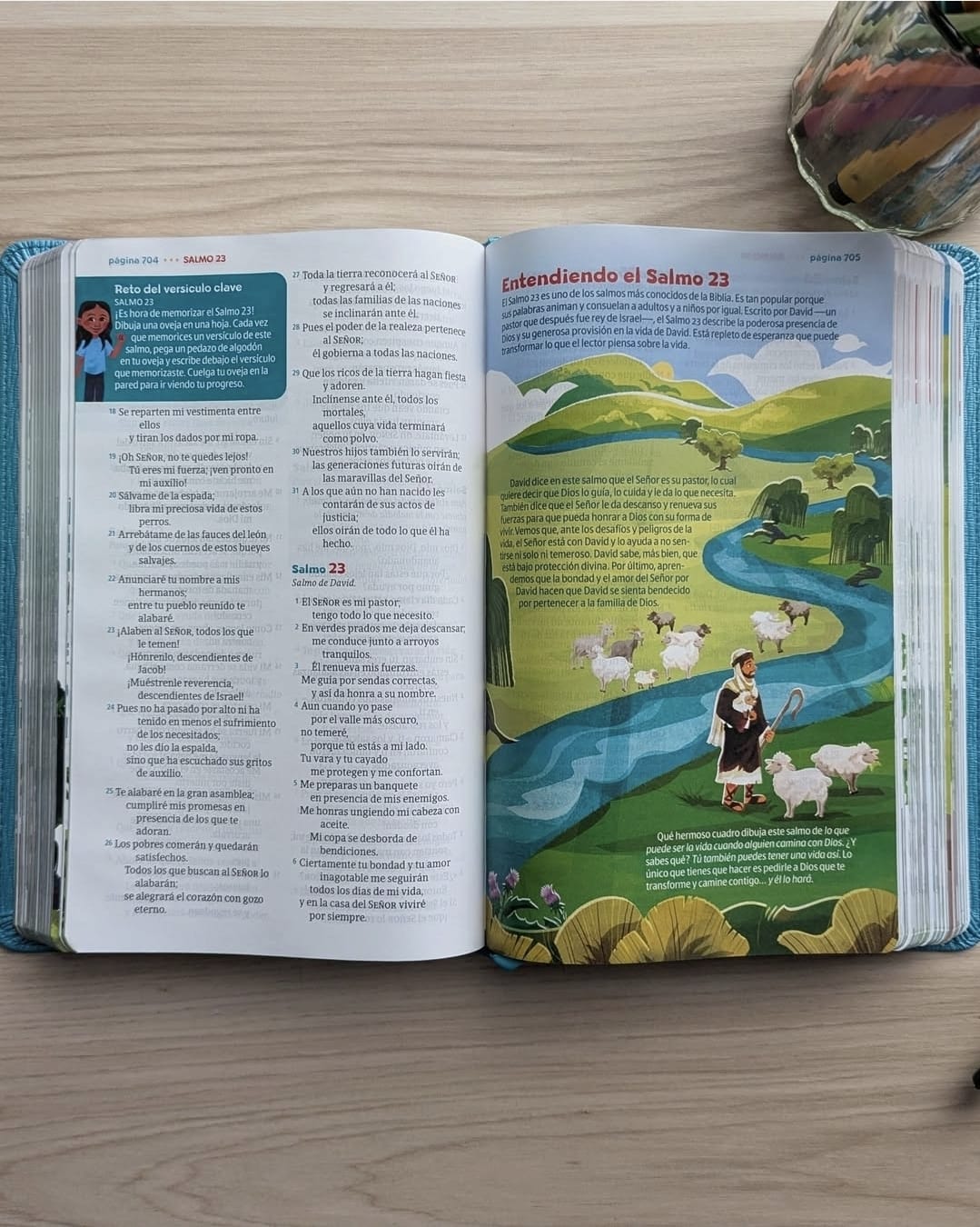 Biblia GO para niños NTV (Binding:LeatherLike)