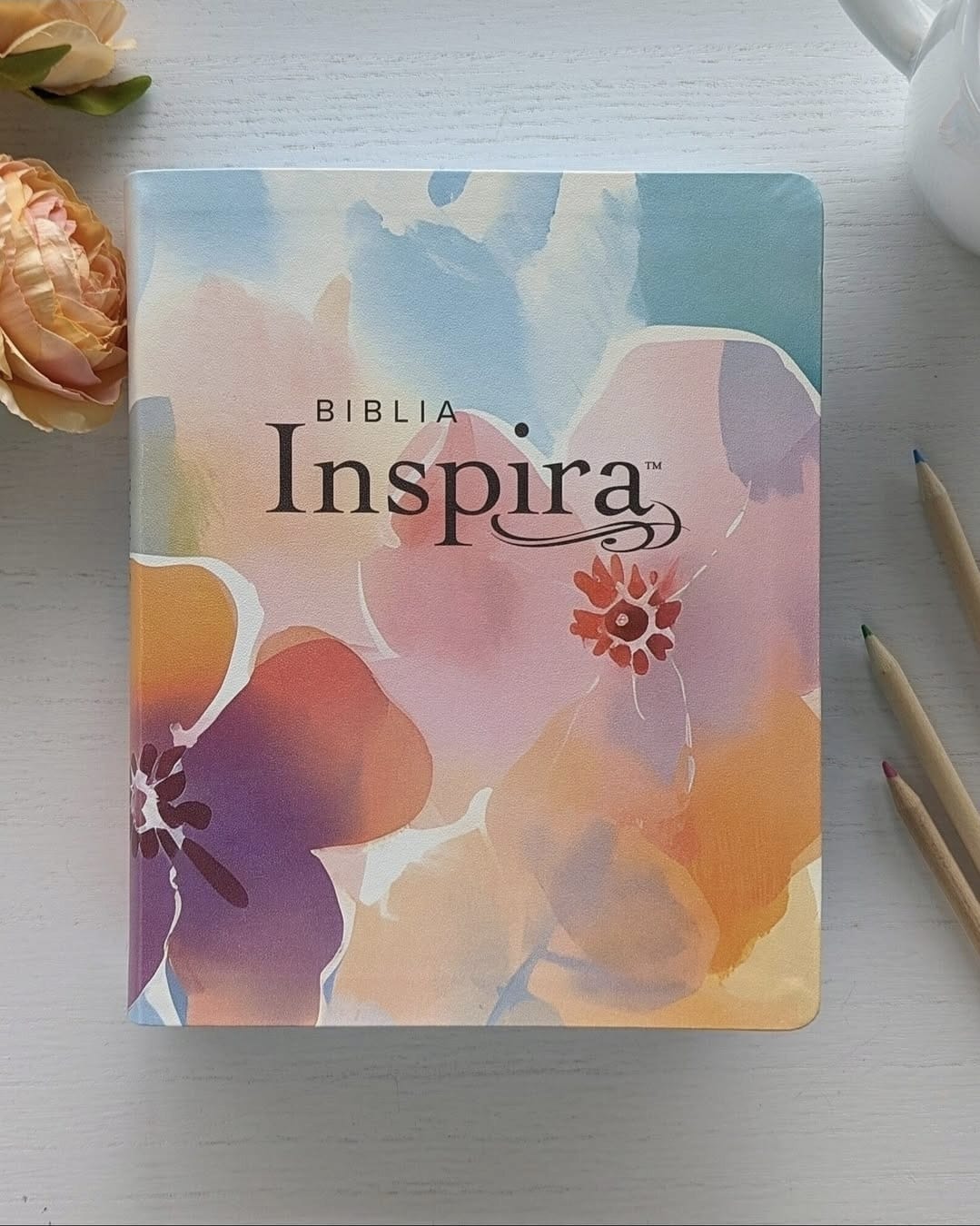 Biblia Inspira NTV con Filament (Binding:LeatherLike) La Biblia que inspira tu creatividad