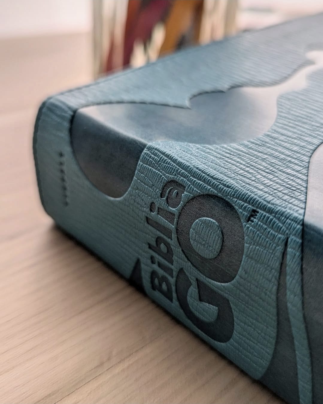 Biblia GO para niños NTV (Binding:LeatherLike)