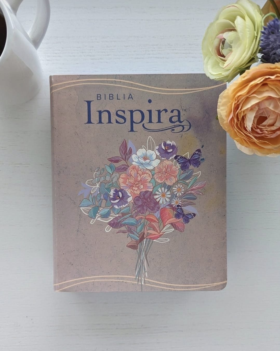 Biblia Inspira NTV con Filament La Biblia que inspira tu creatividad (Binding:LeatherLike)