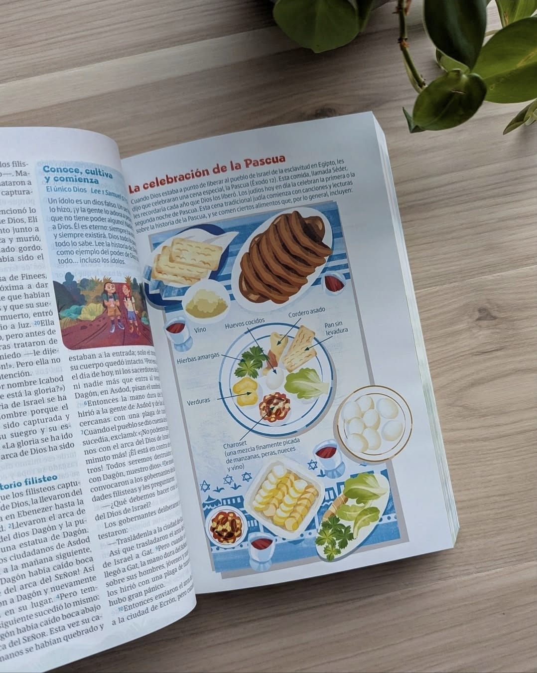 Biblia GO para niños NTV (Binding:LeatherLike)