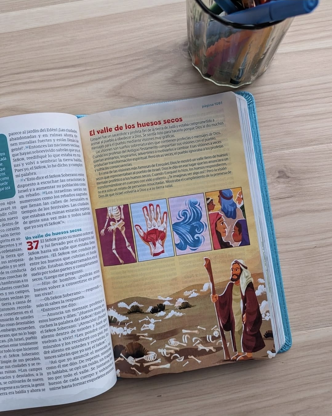 Biblia GO para niños NTV (Binding:LeatherLike)